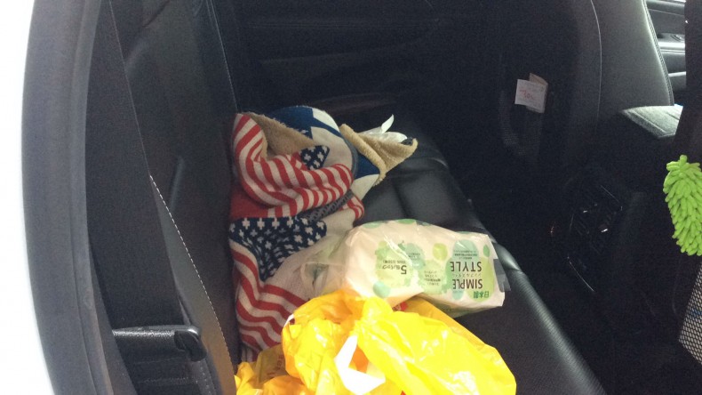 内装後方シート