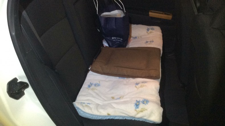 内装後方シート