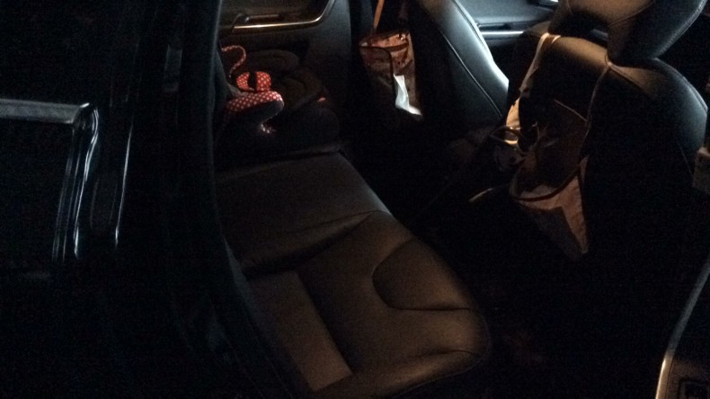 内装後方シート