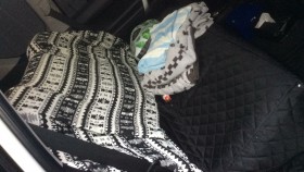 内装後方シート