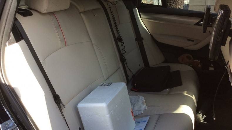 内装後方シート