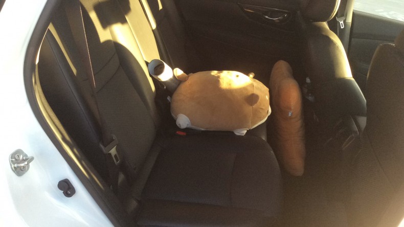 内装後方シート