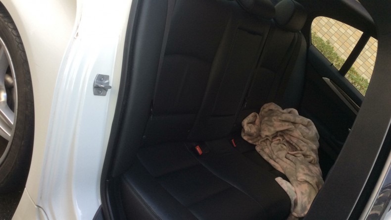 内装後方シート