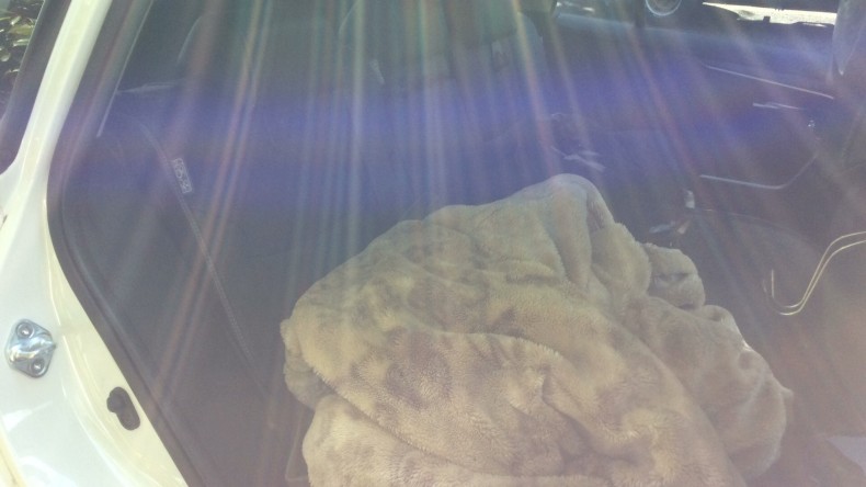 内装後方シート