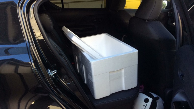 内装後方シート