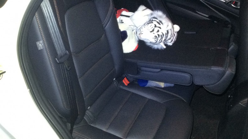 内装後方シート