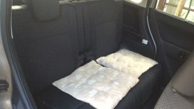 内装後方シート