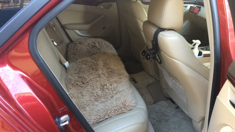 内装後方シート