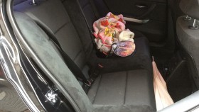 内装後方シート