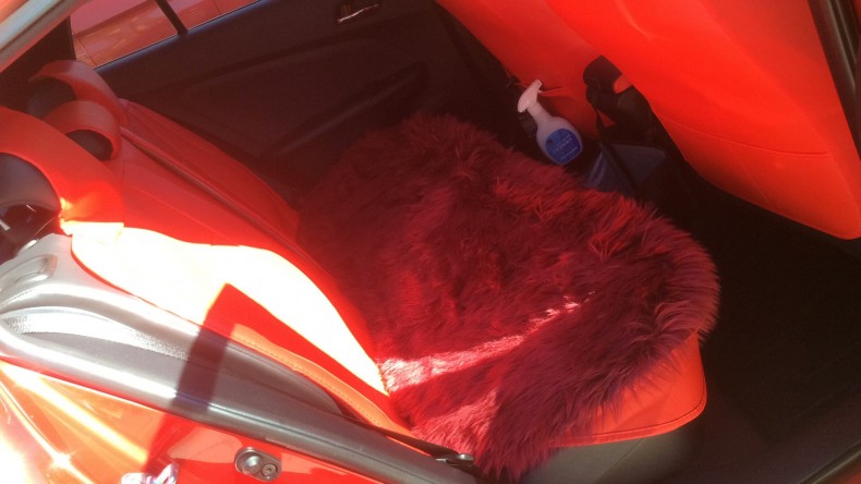 内装後方シート