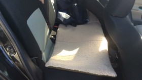 内装後方シート