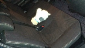 内装後方シート