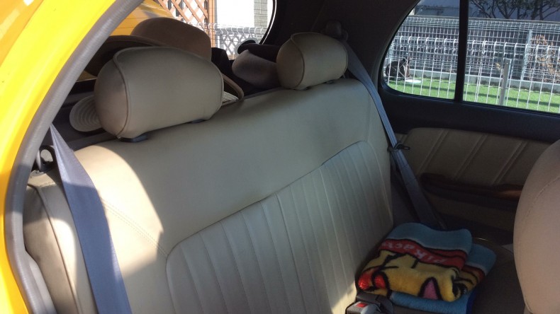 内装後方シート