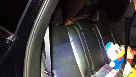 内装後方シート