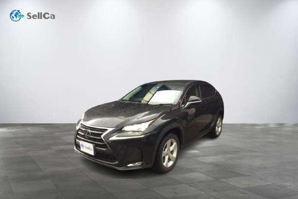 レクサス/ＮＸ-107035