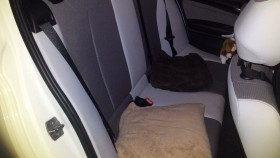 内装後方シート