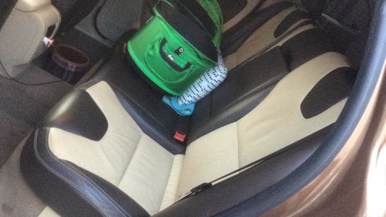 内装後方シート