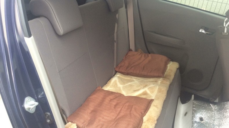 内装後方シート