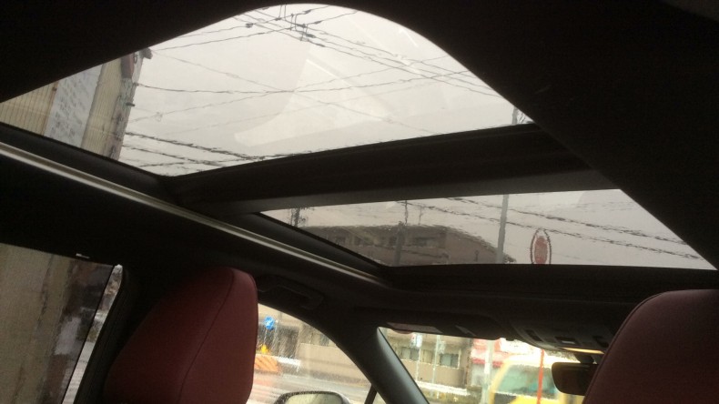 内装ルーフ