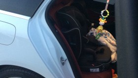 内装後方シート