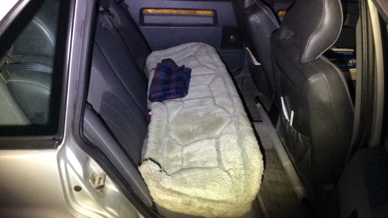 内装後方シート