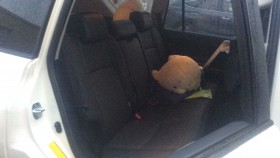 内装後方シート