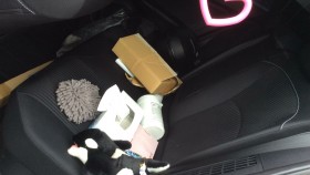 内装後方シート