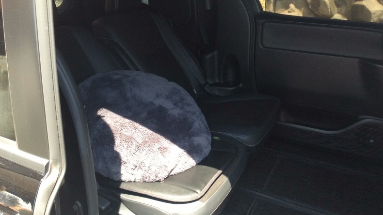 内装後方シート