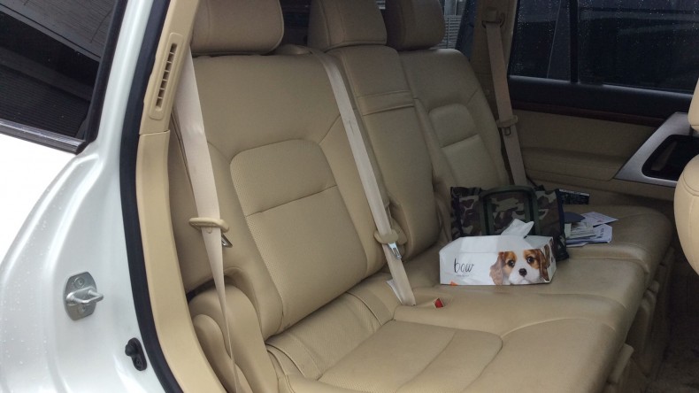 内装後方シート