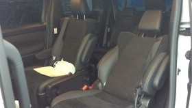 内装後方シート