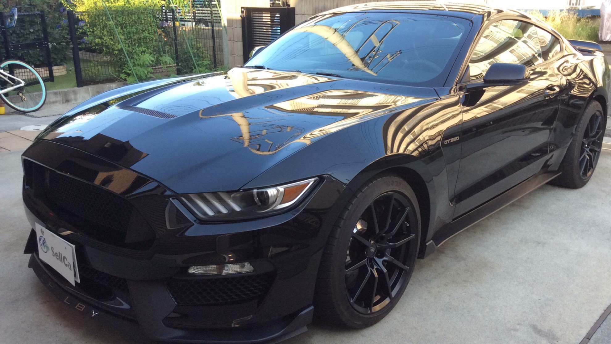 フォード　マスタングの車種サムネイル画像