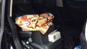 内装後方シート