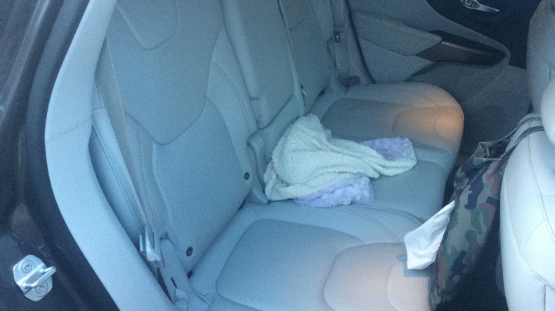 内装後方シート