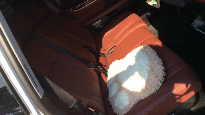 内装後方シート