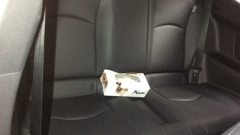 内装後方シート