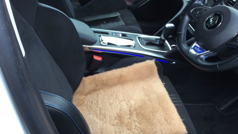 内装前方シート