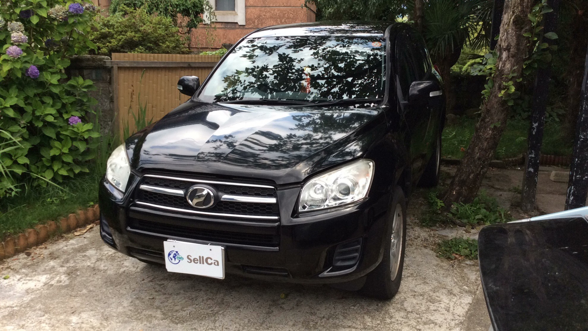 トヨタ RAV4 ハイブリッドアドベンチャーの車種サムネイル画像