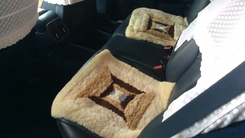 内装後方シート