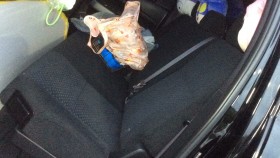 内装後方シート