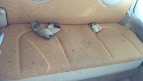 内装後方シート