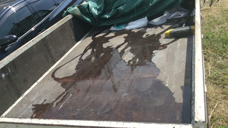 内装後方シート