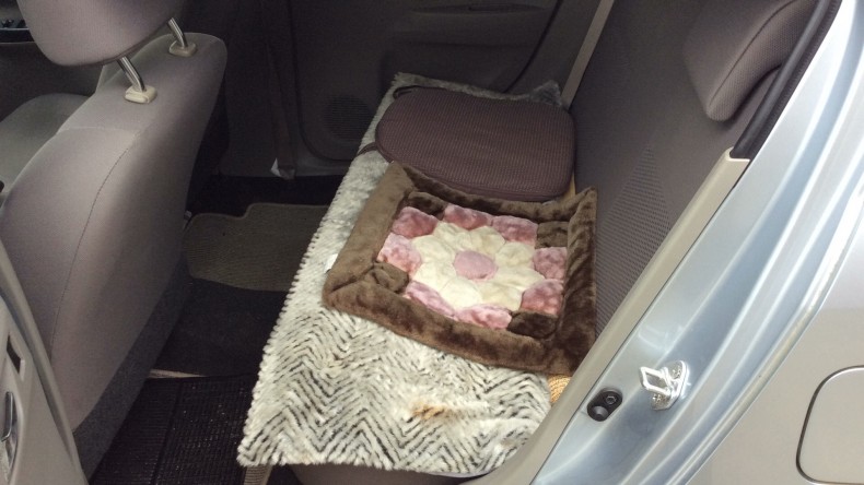 内装後方シート