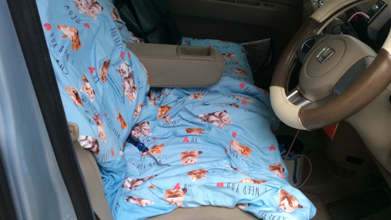 内装前方シート