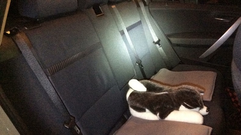 内装後方シート