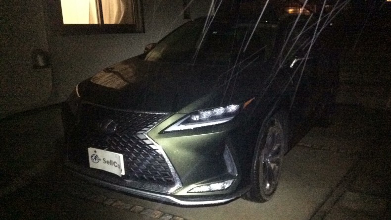 レクサス ＲＸの売買実績画像