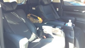 内装後方シート