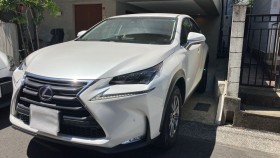 ＮＸ売買実績画像
