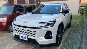 ＲＡＶ４売買実績画像