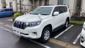 ランドクルーザープラド売買実績画像