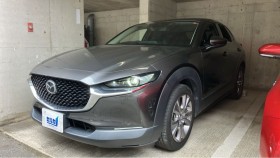 ＣＸ－３０売買実績画像
